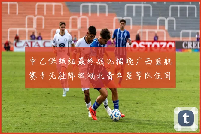 中乙保级组最终战况揭晓广西蓝航赛季无胜降级湖北青年星等队伍同遭降级