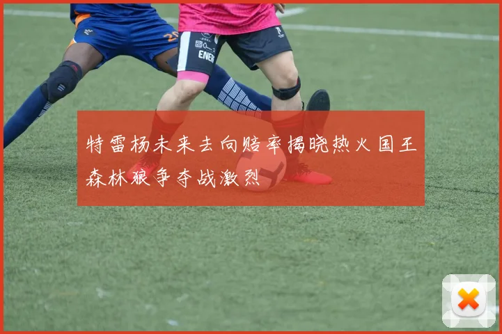 特雷杨未来去向赔率揭晓热火国王森林狼争夺战激烈