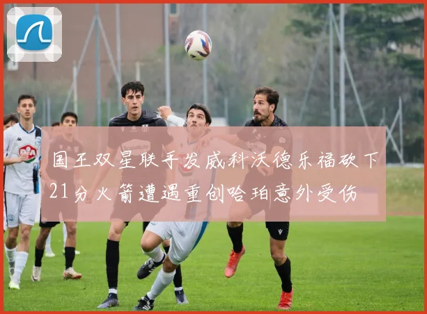 国王双星联手发威科沃德乐福砍下21分火箭遭遇重创哈珀意外受伤