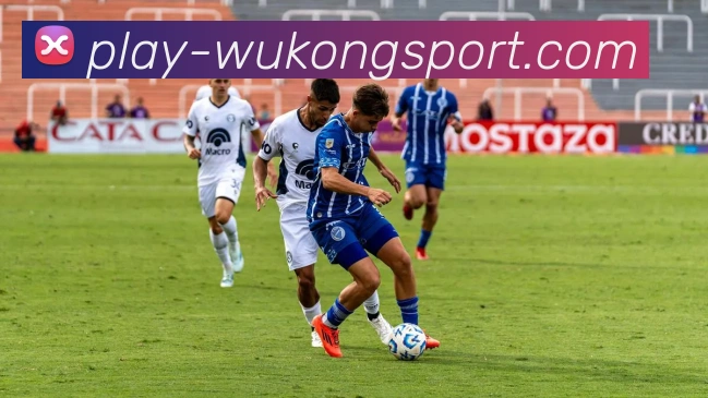 悟空体育平台生态图