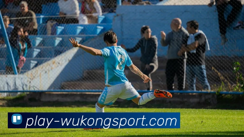 悟空体育APP 封面图